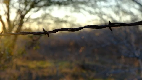 Track shot of barbed wire against sunset Video stock 122154792