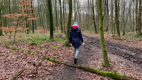 Track shot of female person dressed in winter clothes walking on path in forest Stock Footage
