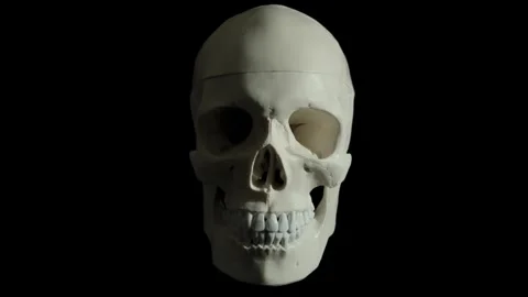 Track In shot of Skull Stock Footage 278089985