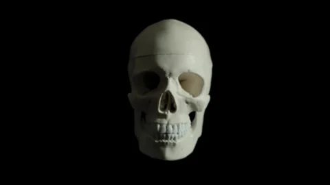 Track In Skull Blur To Focus Stock Footage 278089868