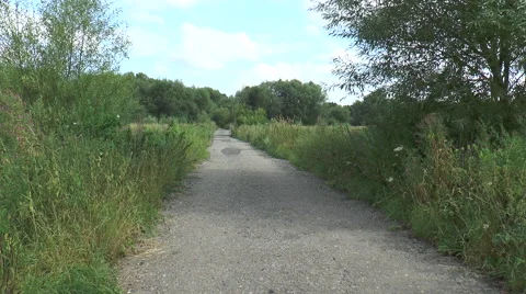 Track to Southcote Mill 50 Video stock 40688097
