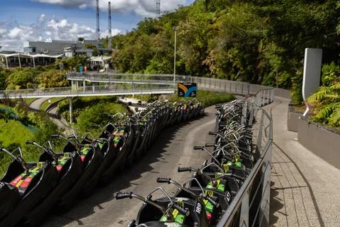 Track Split Sign Above Park Luge Queue Foto stock