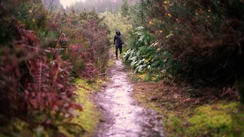 Track trail through mountains walking by muddy paths after rain amidst nature Stock Footage 237692052