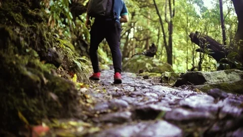 Track trail through mountains walking by muddy paths after rain amidst nature Stock Footage 237692067