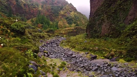 Track trail through mountains walking by muddy paths after rain amidst nature Vídeos de archivo 237692168