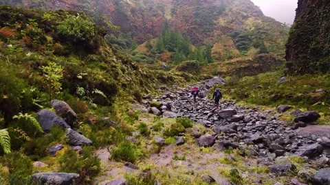Track trail through mountains walking by muddy paths after rain amidst nature 库存影片 237692171