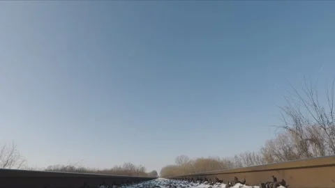 Track View of Train approaching in Romania Video stock 329184371