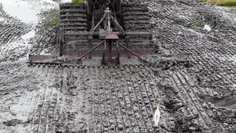 Tracked equipment leaves deep mud tracks Stock Footage 339842437