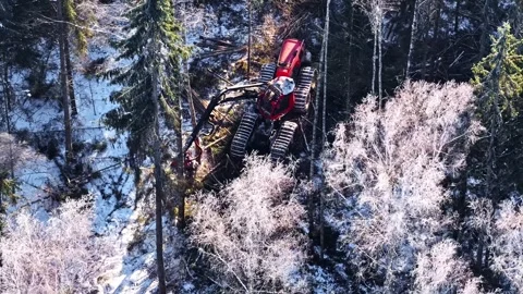 Tracked Timber Harvester Cutting Logs in Winter Forest 스톡 동영상 331037766