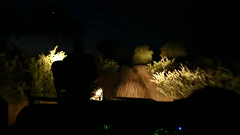 Tracker looking for wild animals during night safari at Kruger park Vídeo Stock 155457535