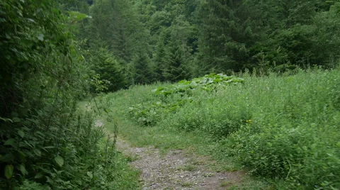 Tracker walking on a mountain path. Stock Footage 55295089