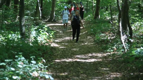 Tracking 2 HD 1080p Stock Footage 8654469