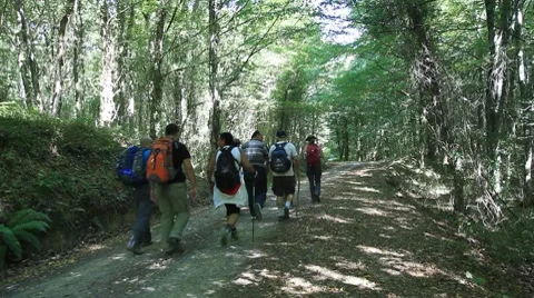 Tracking 3 HD 1080p Stock Footage 8654449