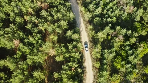 Tracking aerial shot of car in forest. Vidéo 132583154