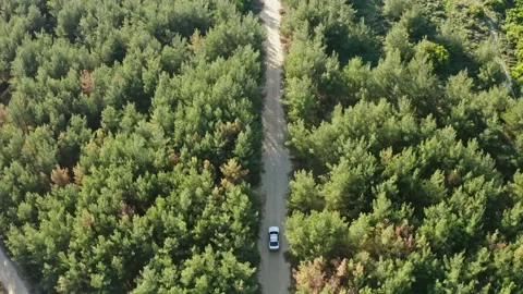 Tracking aerial shot of car in the forest. Stock Footage 132583845