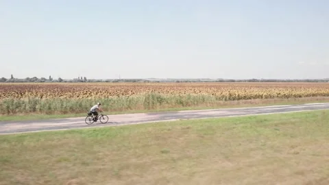 Tracking aerial shot of cyclist accelerating - sunflower field in the background Vídeo Stock 195959833