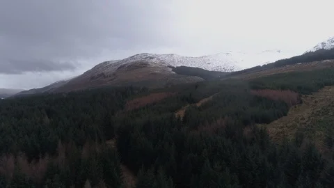 Tracking Aerial View of Pine Forest in Front of Snowy Scottish Mountain Ben More Stock Footage 107276005