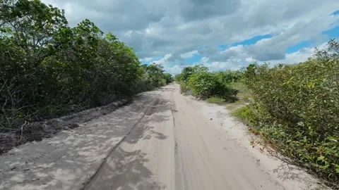Tracking Along a Sandy Track Through Lençóis Maranhenses Vegetation Stock Footage 342440741