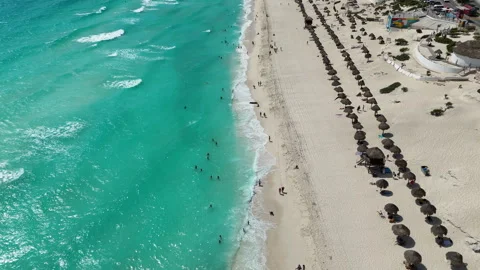Tracking bird on the beach daytime Stock Footage 267811565