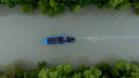 Tracking a boat by a beautiful large forest and river. Stock Footage 126072372