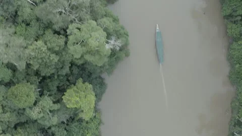 Tracking a canoe navigating on a river in the Ecuadorian Amazon (aerial shot Stock Footage 312219101
