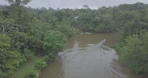 Tracking a canoe navigating on a river in the French guiana Amazon (aerial shot) Stock Footage 312354615