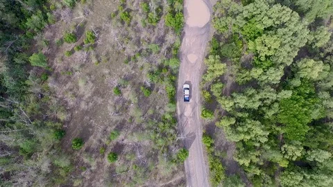 Tracking a car in forest Stock Footage 126233275