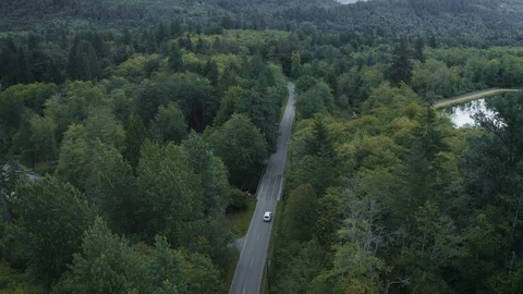 Tracking a car on a scenic drive through a remote forest Stock Footage 112264293