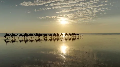 Tracking clip of camel ride at sunset on cable beach in broome Stock Footage 160886902
