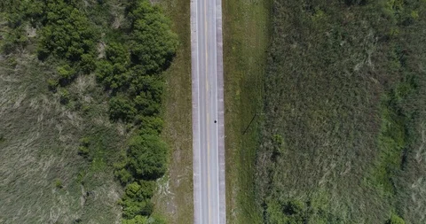 Tracking cyclist from above, Pearl River Marshland, Lousiana drone aerial 4K Stock Footage 111364448