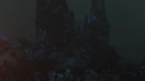 Tracking device beeping on seabed while shark swimming underwater in sea Vídeos de archivo 67555251