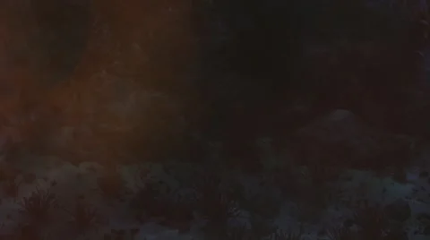 Tracking device on seabed underwater 库存影片 67555249