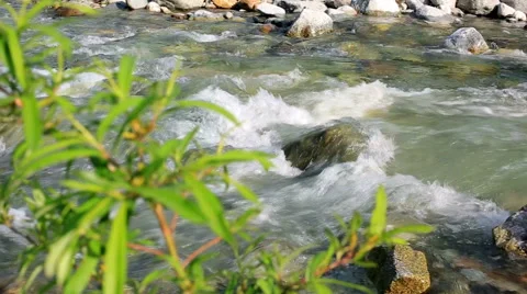 Tracking (dolly) shot moving along the flow of a mountain river. Stock Footage 51118253