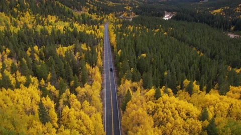 Tracking Drone Shot of Black Car Moving on Road in Scenic Autumn Landscape of Stock Footage 307993085