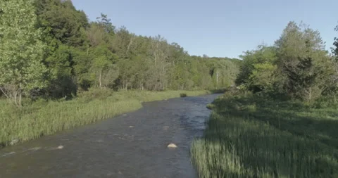 Tracking Drone Shot Of A River and Woods Surrounding Stock Footage 149519192