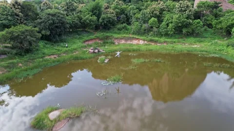 Tracking drone view of an adventurous boy zip-lining amidst the lush green .. Stock-Footage 329307133