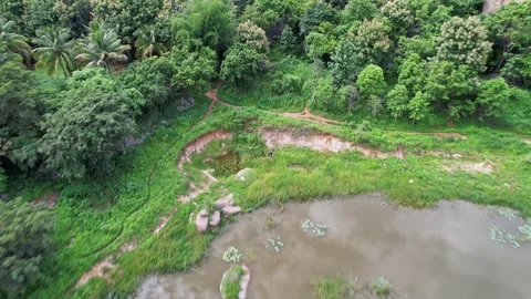 Tracking drone view of an adventurous boy zip-lining amidst the lush green .. 스톡 동영상 329307141