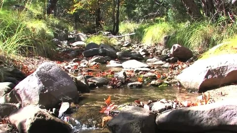 Tracking Drug Trafficker Across Border Stream Stock Footage 209995277