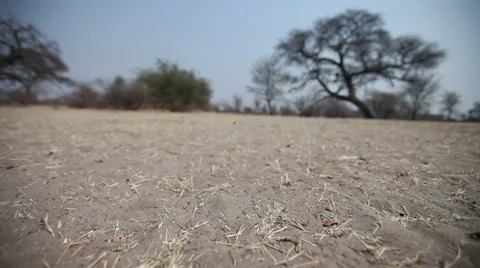 Tracking of dry African soil Vídeos de archivo 35852152