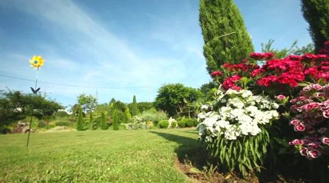 Tracking of flower bed in front of wooden house Stock Footage 35408935