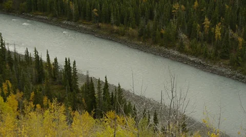 Tracking Flowing River with Autumn Trees Stock Footage 38109887