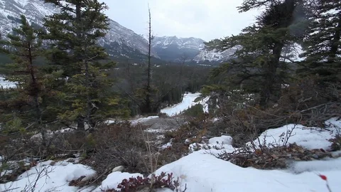 Tracking forest outlook over mountain road in Alberta Video stock 90832341