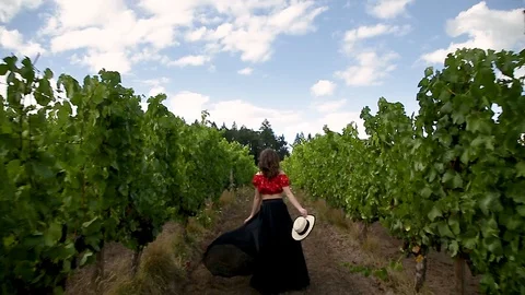 Tracking gimbal shot of an attractive young brunette woman in a cute summer Stock Footage 115286433