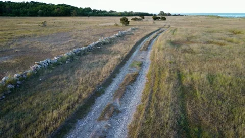 Tracking a grass road in the sunset on Gotland, Sweden Stock Footage 246934267