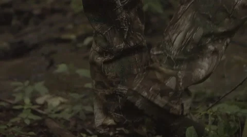 Tracking Hunter in woods Stock-Footage 53644501