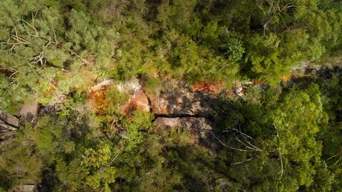Tracking left birds eye shot over stream and waterfall in Australian bush Stock Footage 124510025