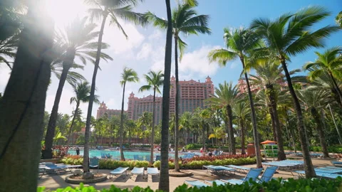 Tracking Left Past Palm Trees at Atlantis Resort Pool in Bahamas Stock Footage 345543152