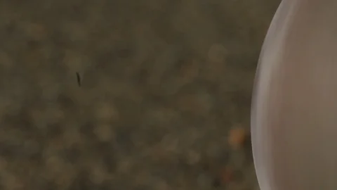 Tracking Left to Right By Skateboard Inside Truck and Wheel Spinning Close Up Stock Footage 114033880