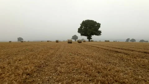 Tracking low through Round Hay Bales on Misty Day 動画素材 137422913