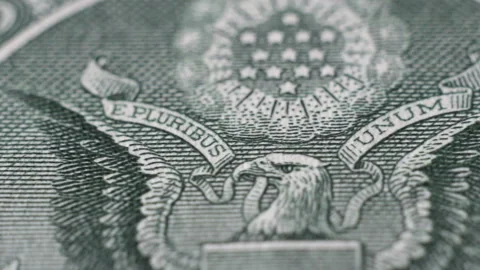 Tracking macro elements on the US one hundreed dollar bill. Stock Footage 204161739